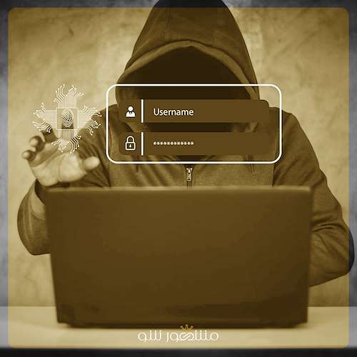 امنیت سایت حرفه ‌ای برای جلوگیری از حملات هکری